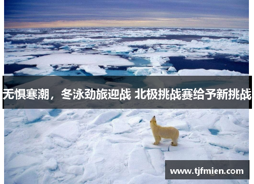 无惧寒潮，冬泳劲旅迎战 北极挑战赛给予新挑战